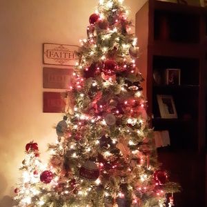 Meet your Posher, Donna